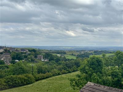 Picture 29